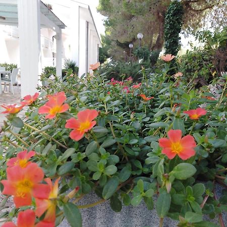 Raggio Di Sole Aparthotel Alberobello Luaran gambar