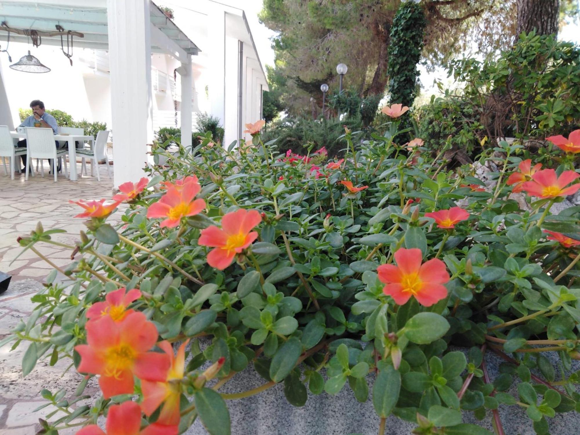 Raggio Di Sole Aparthotel Alberobello Luaran gambar